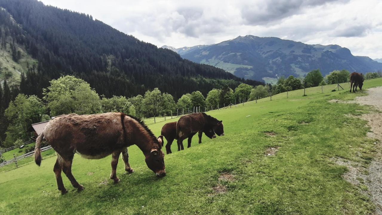 Privatzimmervermietung Foidlbauer Oberndorf in Tirol Dış mekan fotoğraf
