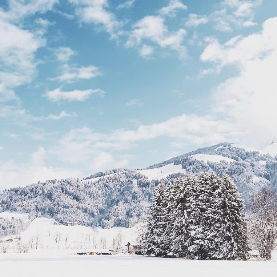 Privatzimmervermietung Foidlbauer Oberndorf in Tirol Dış mekan fotoğraf
